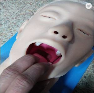 Trening za manikine elektronske inkubacijske inkubatorje